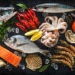 seafood