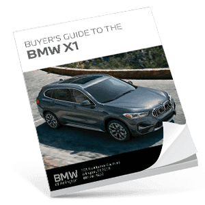 Buyers Guide X1