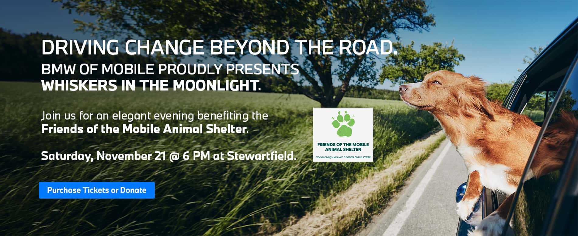Non-profit Event Banner