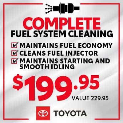 Complete Fuel System Cleaning