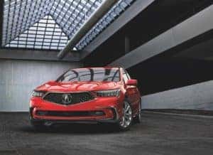 Acura Dealer 