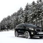 Kia Winter