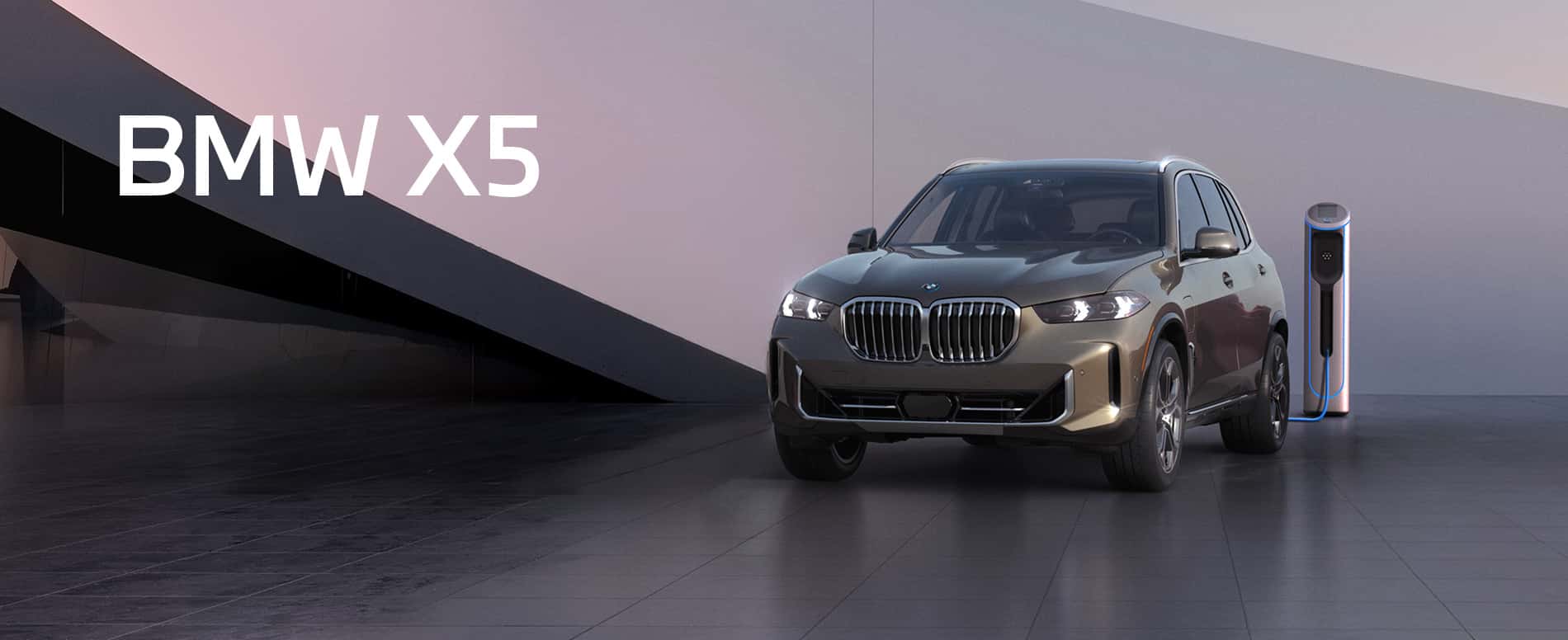 26_Auge_WebBanner_BMW_X5_1900x776