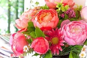 Albuquerque NM Florist & Flower Delivery