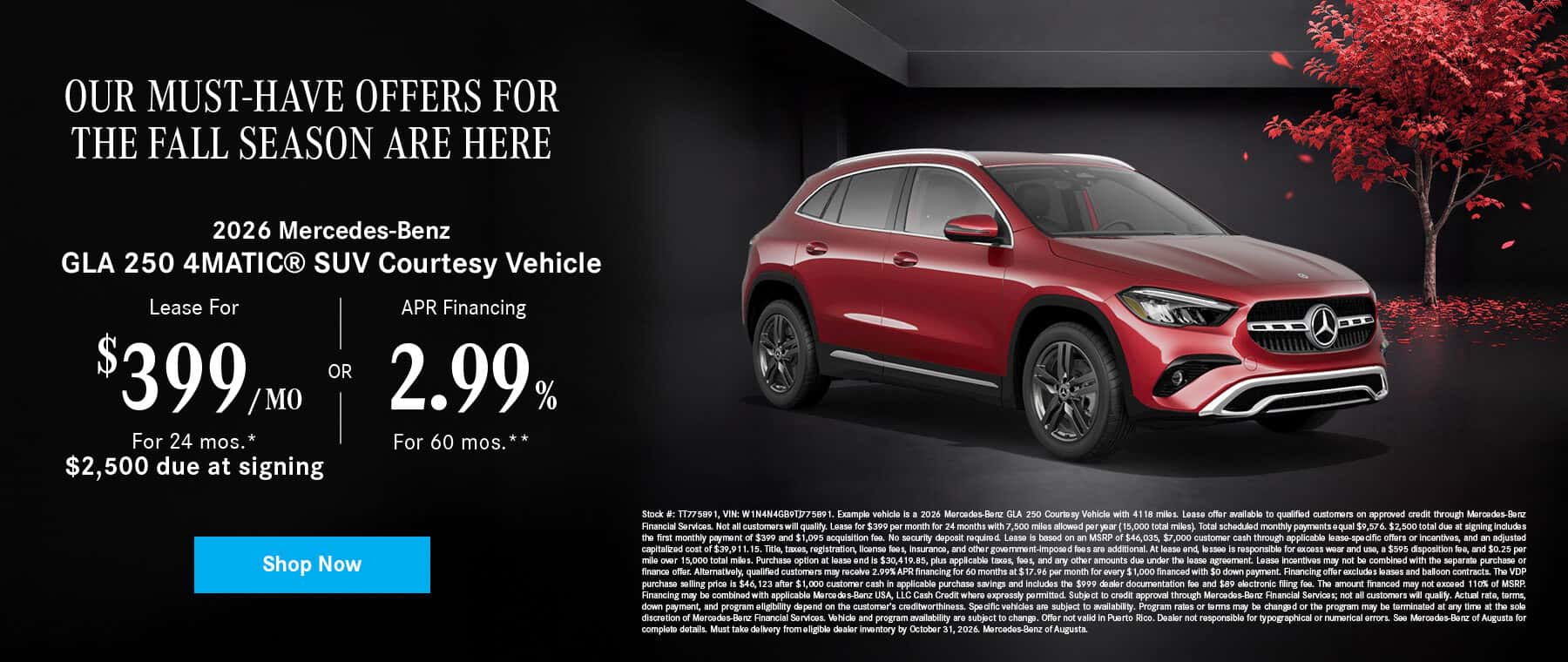 GLA 250 Courtesy Vehicle