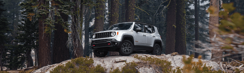 The Family Favorite 2021 Jeep Renegade