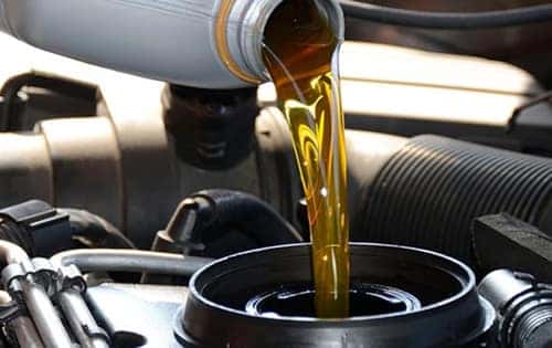 Oil &amp; Filter Change Special